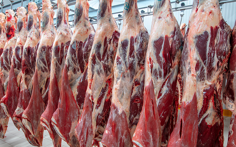 Beef on Rail_72ppi ContentBody Image Beef carcasses hanging on rail.