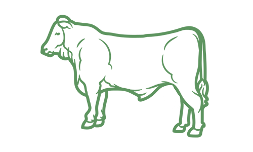 Beef Steer Icon Beef Steer Icon