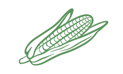 Corn Icon